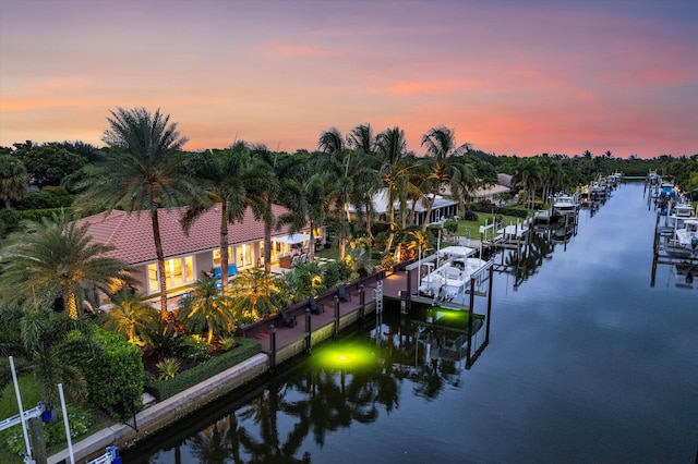 dock area with a water view