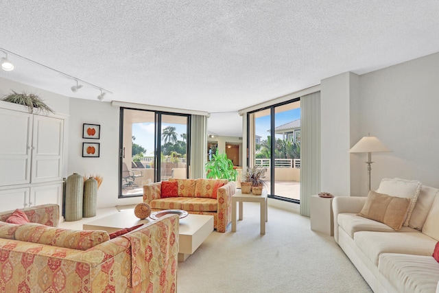 living room featuring expansive windows, light colored carpet, a textured ceiling, and a wealth of natural light