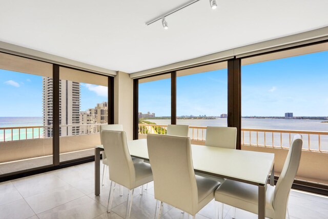 living room with expansive windows, a wealth of natural light, and rail lighting