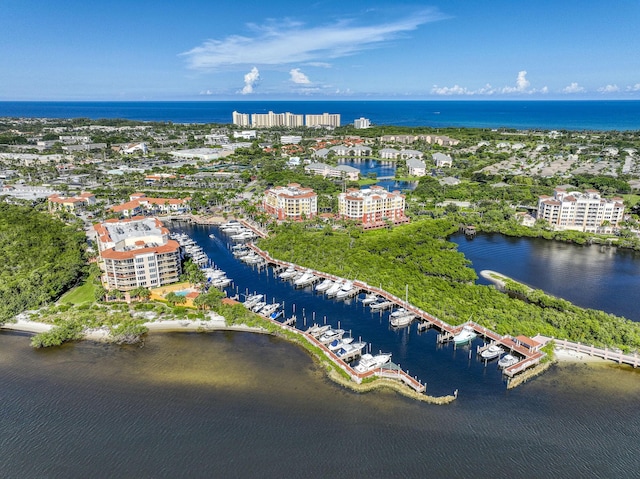 bird's eye view with a water view