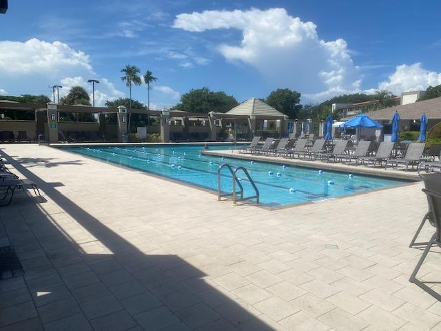 view of pool featuring a patio