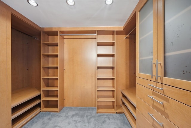 spacious closet with carpet flooring