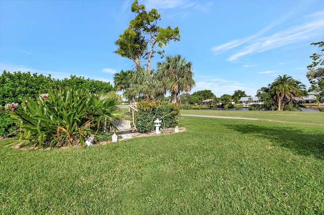 view of yard with a water view