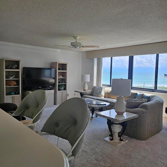 living room featuring ceiling fan, a textured ceiling, and carpet