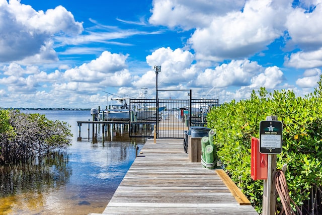 dock area featuring a water view