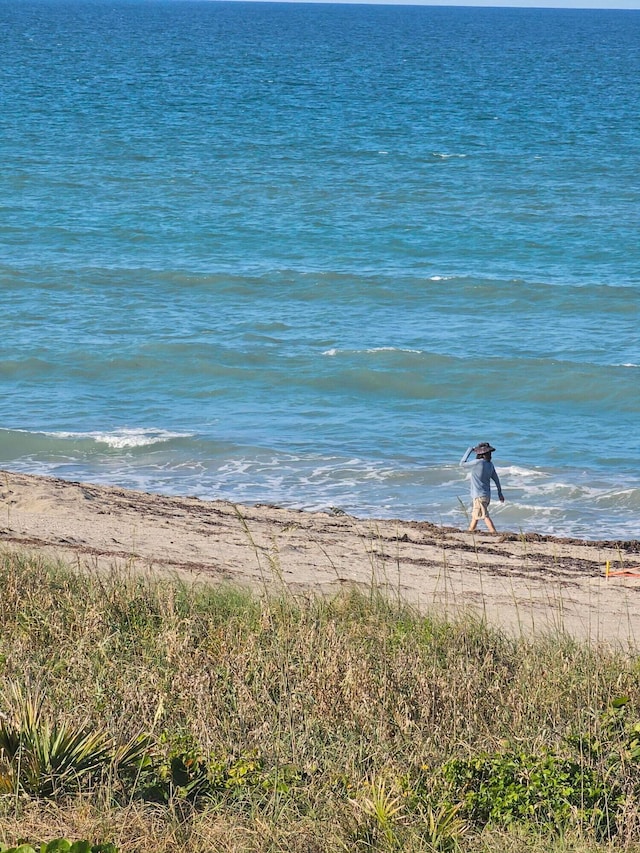 view of water feature featuring a beach view