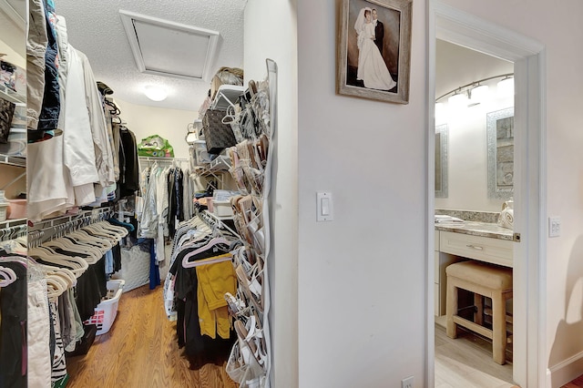 spacious closet featuring light hardwood / wood-style floors