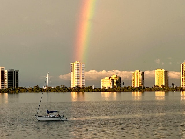 property view of water