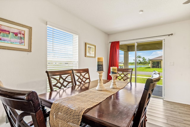 dining area with a wealth of natural light, hardwood / wood-style floors, and a textured ceiling