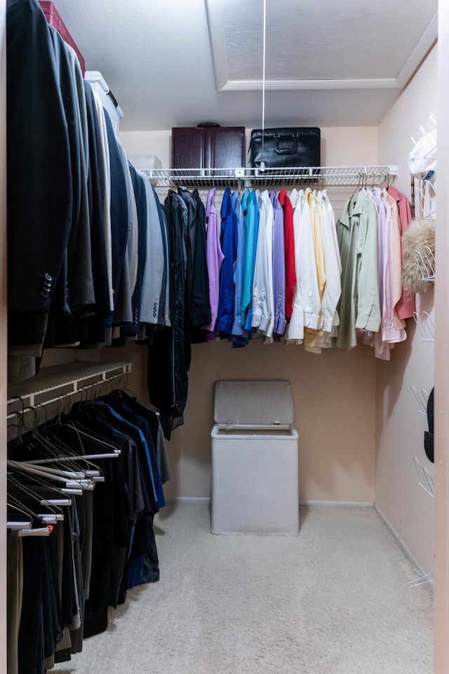 spacious closet with light carpet