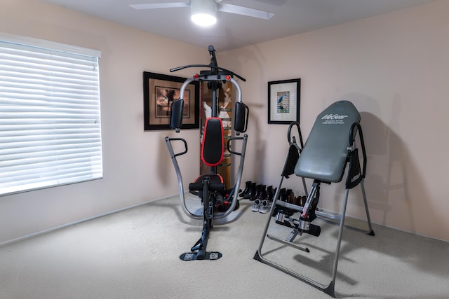 workout area featuring a healthy amount of sunlight, ceiling fan, and carpet flooring