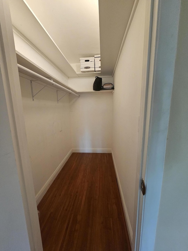 walk in closet with dark wood-type flooring