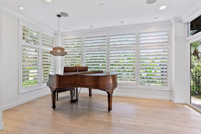 miscellaneous room featuring crown molding, a healthy amount of sunlight, and light hardwood / wood-style floors