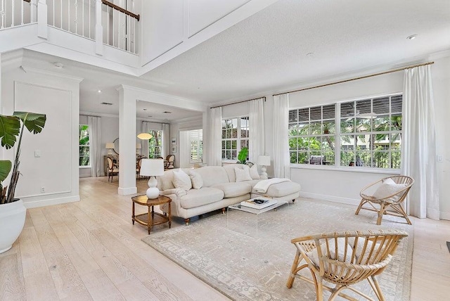 living room featuring a textured ceiling, crown molding, and light hardwood / wood-style floors