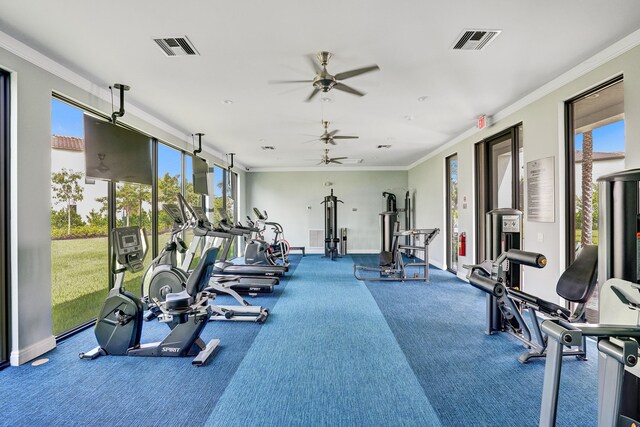 exercise room featuring crown molding, ceiling fan, and carpet floors