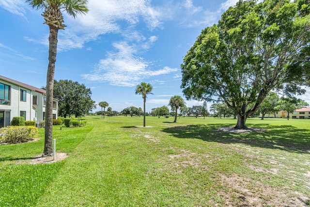 view of grassy yard