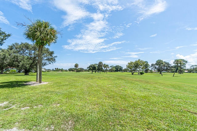 view of grassy yard