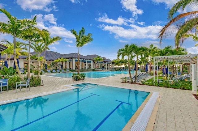 view of swimming pool featuring a patio area and a pergola