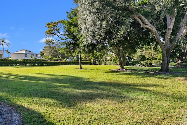 exterior space with a yard