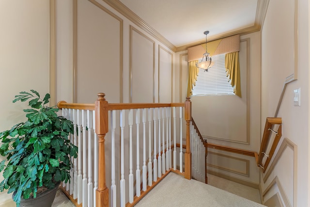 stairs with crown molding and carpet floors