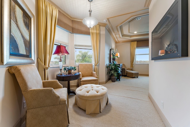 sitting room featuring crown molding and carpet