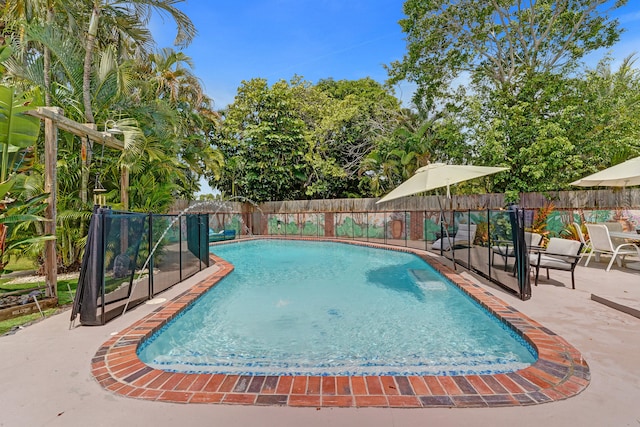 view of pool featuring a patio