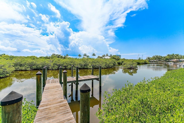 dock area featuring a water view