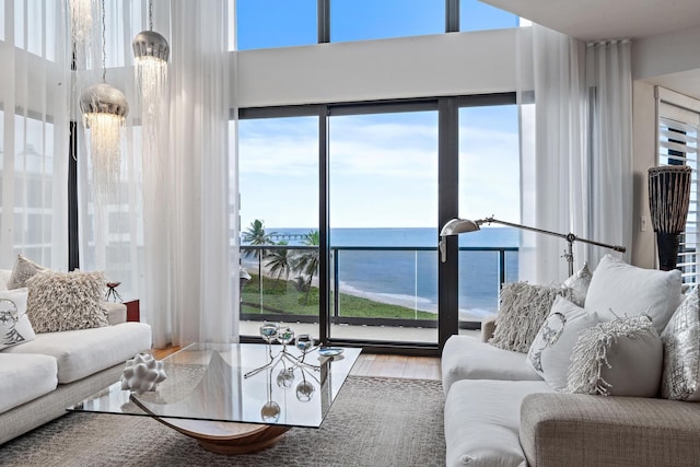 living room featuring hardwood / wood-style floors and a water view