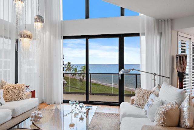 living room with a healthy amount of sunlight, a water view, and light hardwood / wood-style flooring