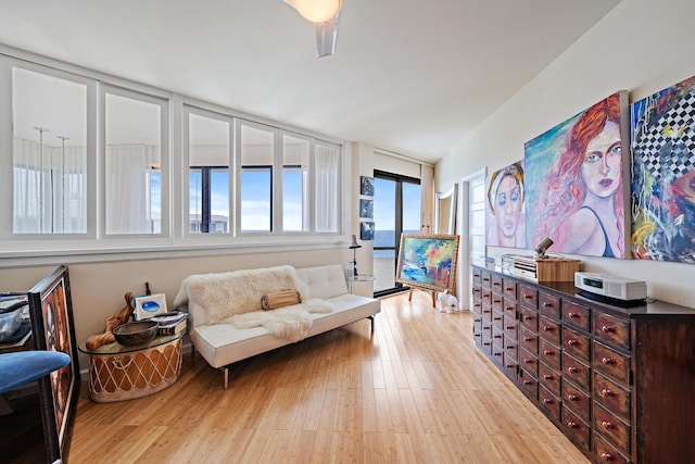 sitting room featuring light hardwood / wood-style floors