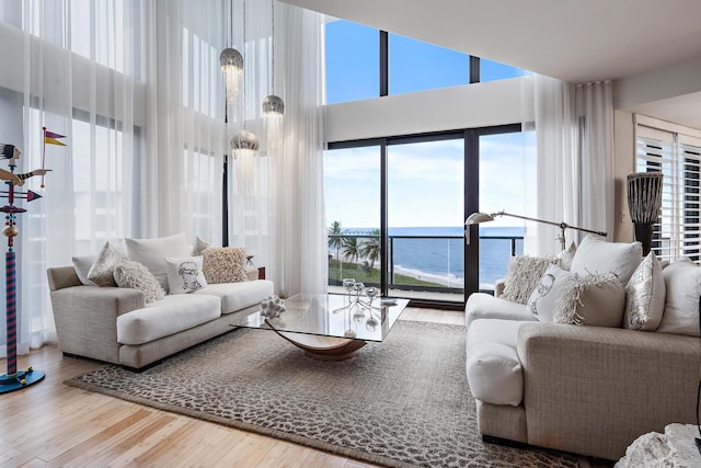 living room with a water view, plenty of natural light, and hardwood / wood-style flooring