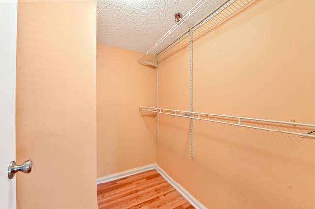 spacious closet with wood-type flooring