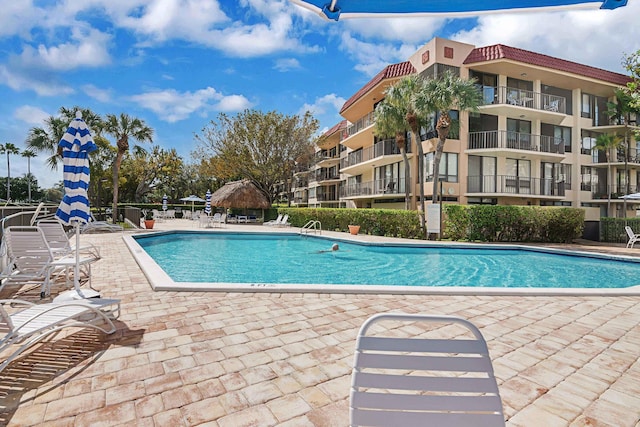 view of pool featuring a patio