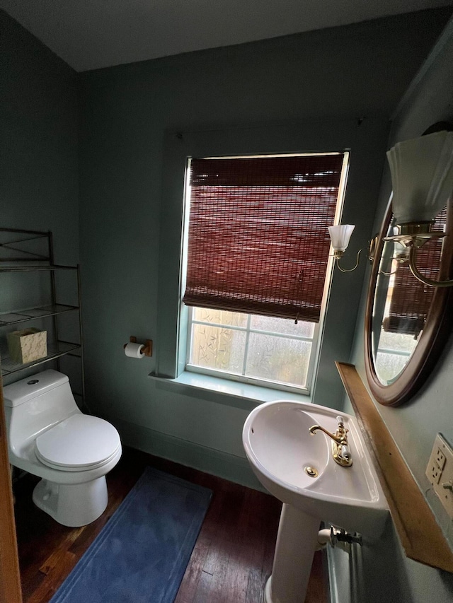 bathroom featuring toilet and hardwood / wood-style flooring