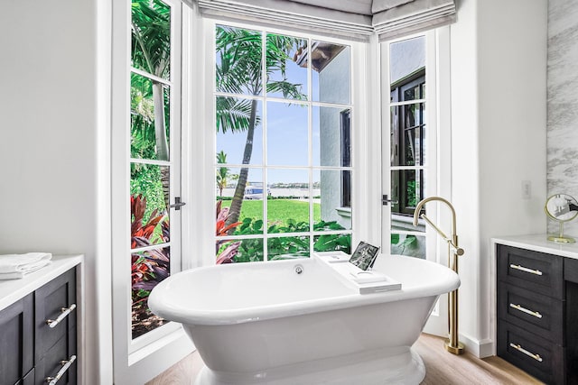 bathroom with a bathing tub, hardwood / wood-style floors, and vanity