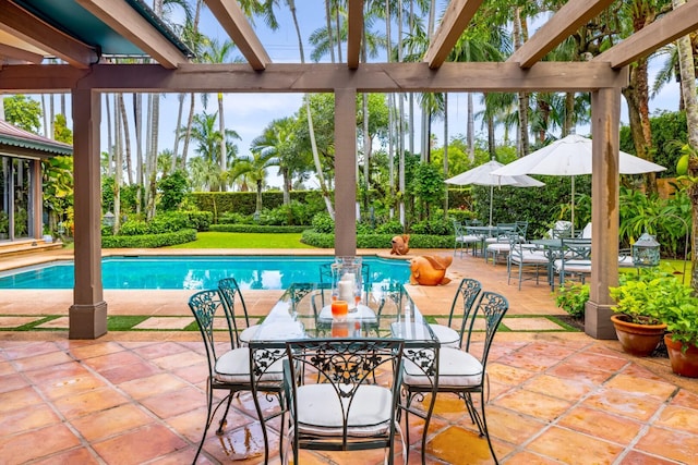 view of swimming pool with a patio