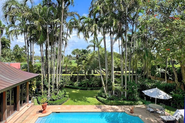 view of swimming pool featuring a lawn and a patio area