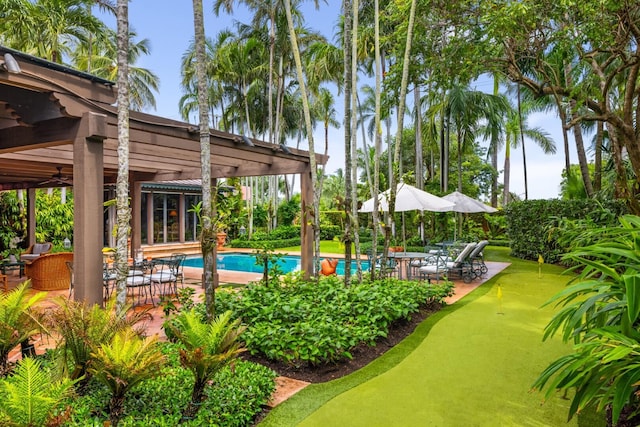 view of swimming pool featuring a patio and ceiling fan