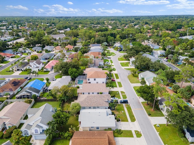 bird's eye view