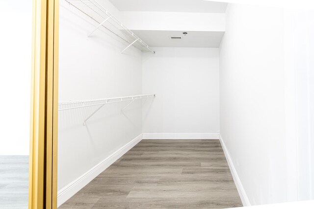 spacious closet with wood-type flooring