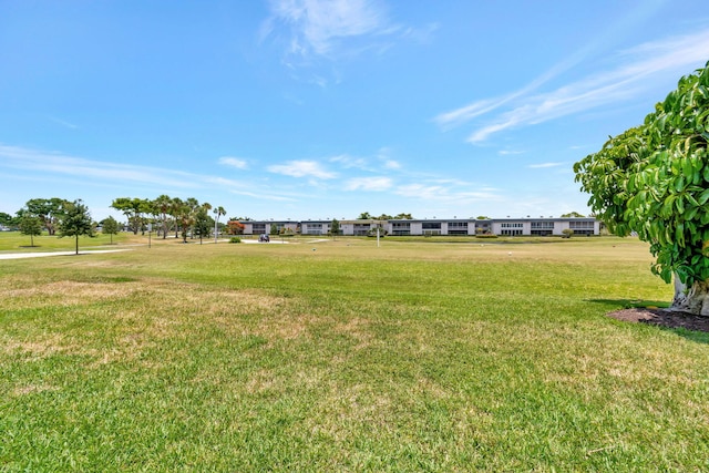 164 Normandy D, Delray Beach, FL 33484 - view of yard