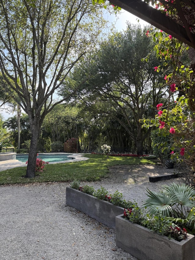 view of yard featuring an outdoor pool