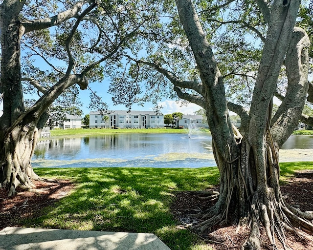 view of water feature