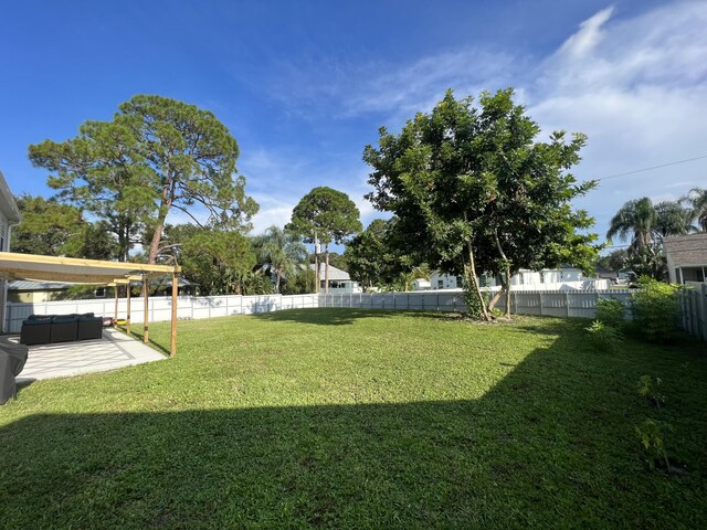 view of yard featuring a patio