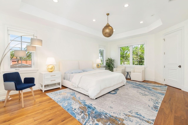 bedroom with a raised ceiling and light hardwood / wood-style flooring