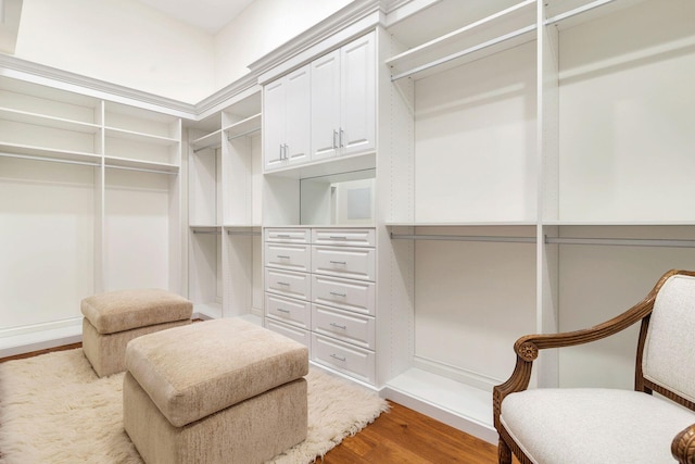 walk in closet with hardwood / wood-style flooring