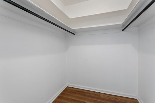 spacious closet featuring wood-type flooring