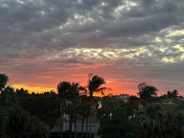 view of nature at dusk