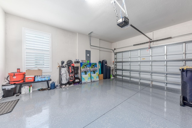 garage featuring a garage door opener and electric panel