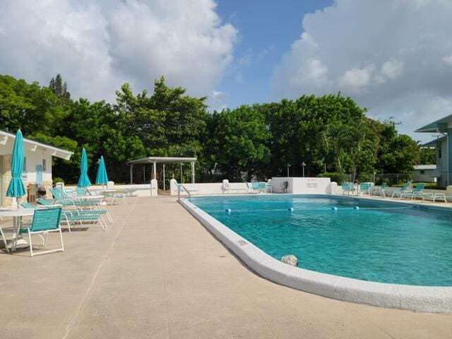 view of pool with a patio